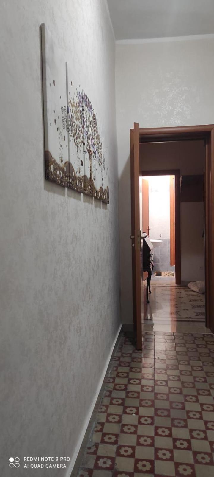 Appartamento Zona Centralissima טרפאני מראה חיצוני תמונה